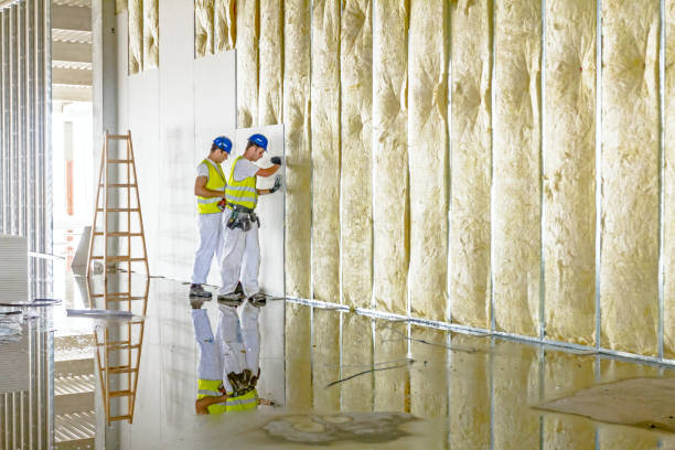 Best Geographic-Specific Insulation Services in Cannon Beach, OR